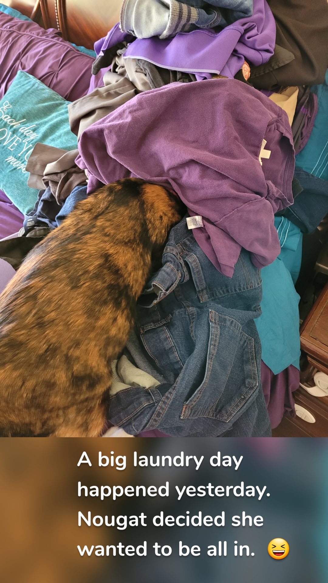 A big laundry day happened yesterday.  Nougat decided she wanted to be all in.  😆