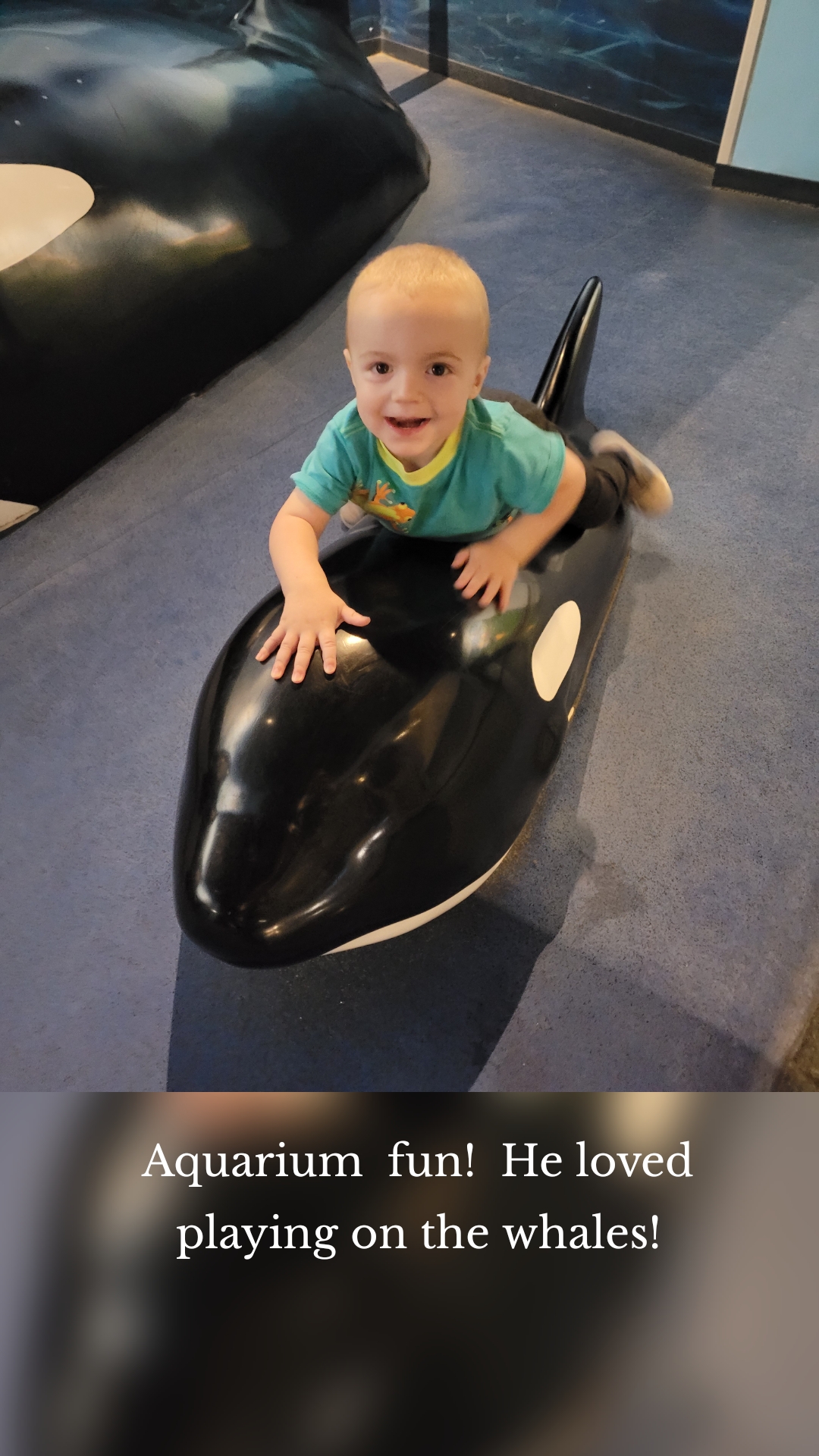 Aquarium  fun!  He loved playing on the whales!